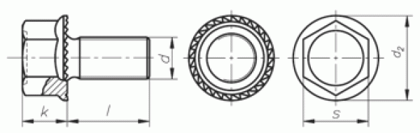 Hexagon head screw(s) M 8 x 20mm, class 8.8 DIN 6921 galZn, flange & locking tooth